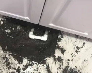 月湖查漏水哪家好